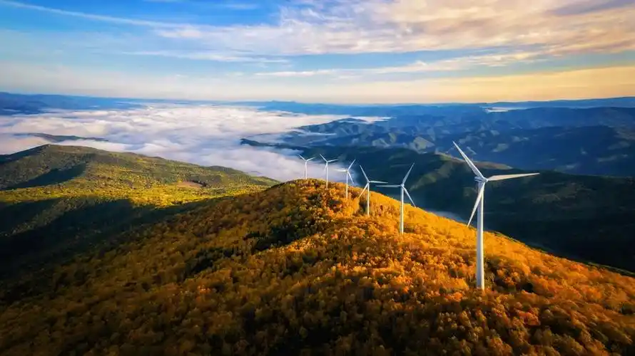 近日,黑龙江省牡丹江市林口县迎来了入冬以来的第一场雪,纷纷扬扬的