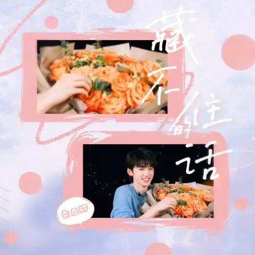 宋亚轩应援曲藏不住的话填词