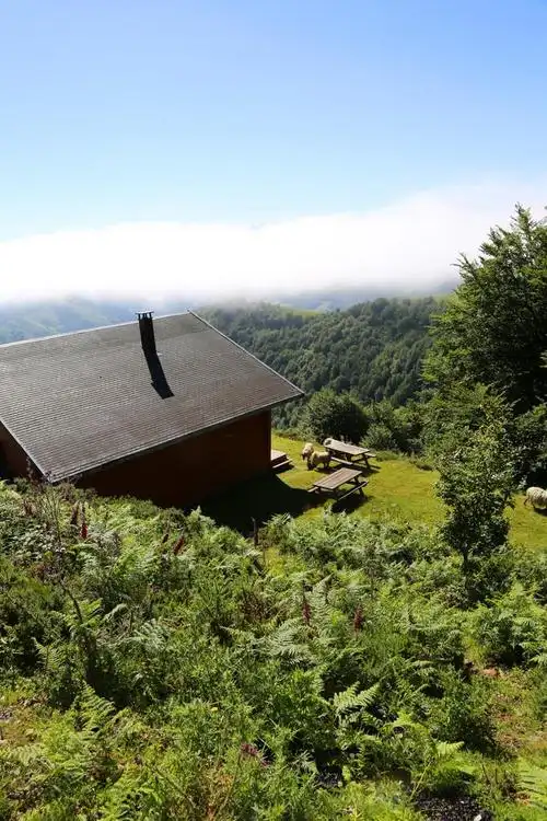 山中小屋的特写,山中小屋的特写