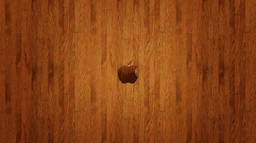 棕色苹果标志壁纸