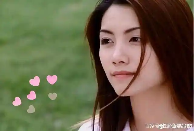 海豚湾恋人—张韶涵的爱情与成长