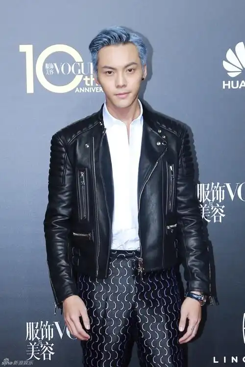 组图:陈伟霆皮衣帅气现身时尚活动 想挑战自己_高清图集_新浪网