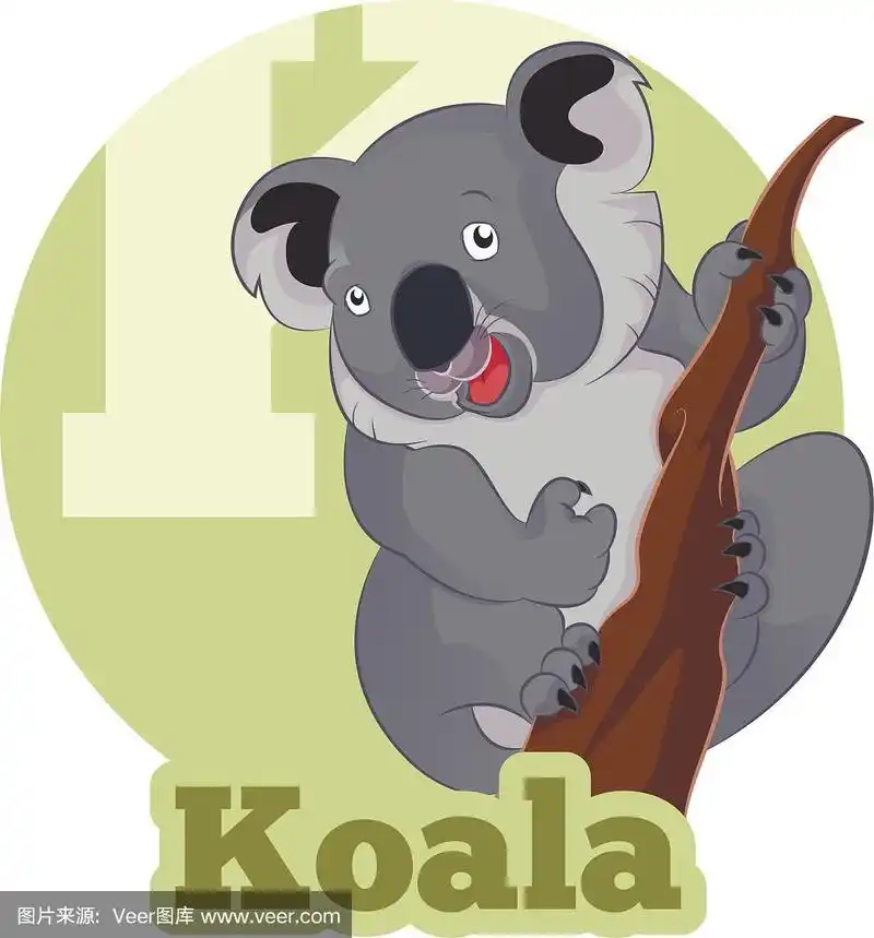 树袋熊,卡通,字母表次序,小熊,有袋亚纲