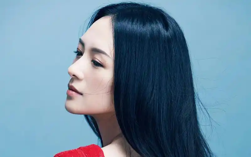 章子怡优雅写真图片桌面壁纸