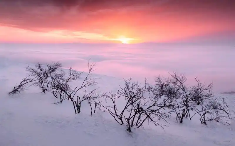 《原野追逐》个人风光摄影作品合集