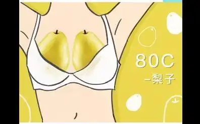 罩杯abcd怎么分大小水果形容ag罩杯图片