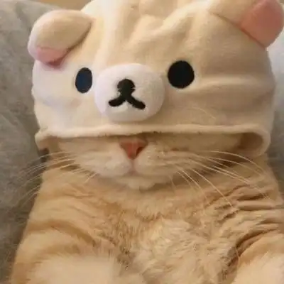 可爱奶猫头像