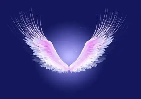 唯美天使翅膀素材
