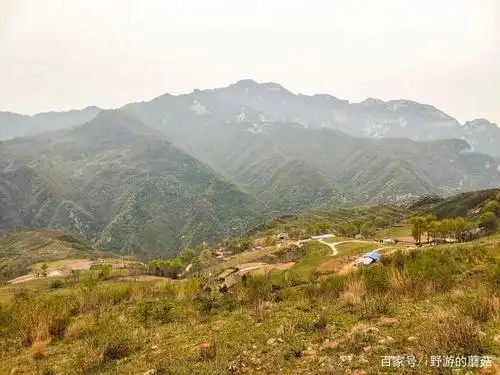 看牛羊成群的高山草甸 蓝田流峪寺穿越