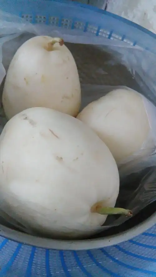 这是什么瓜,温性还凉性?