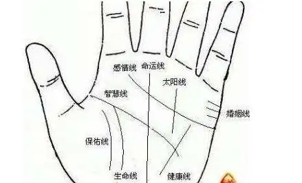手相:生命线短就要短命吗?