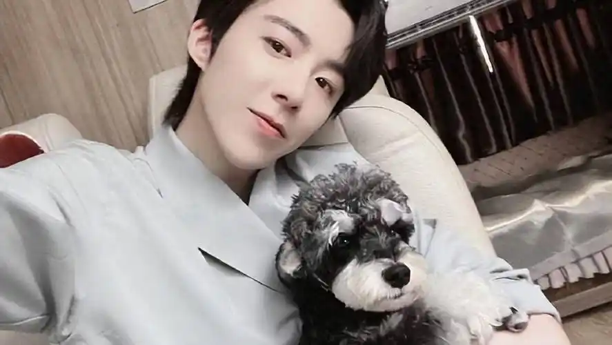 67王子文与刘宇宁牵手现身重庆,身高差引关注,新剧即将来袭_网友_剧