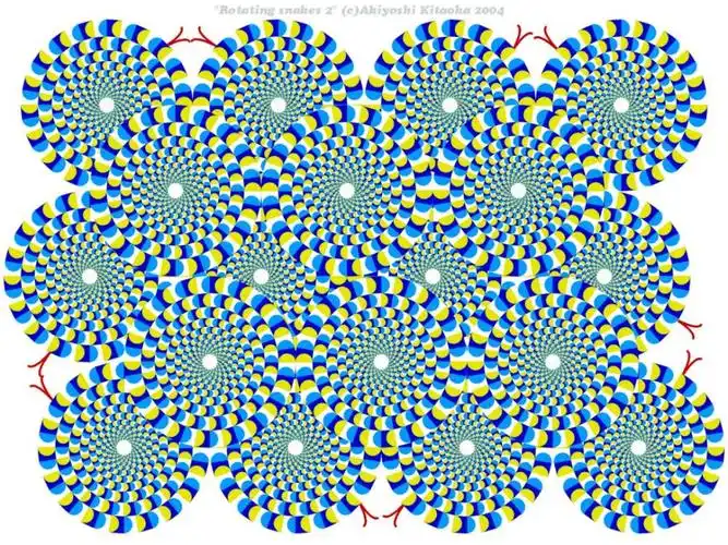 猫子视错觉的水太深你把握不住
