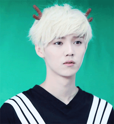 巨星小鲜肉 鹿晗 傻狍子 卖萌 exo