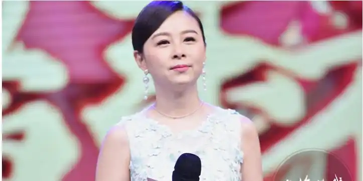 周瑾的双重身份:东方卫视主持人和两个孩子的母亲