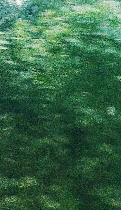 绿色- 堆糖,美图壁纸兴趣社区