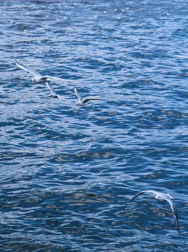 blue.喜欢蓝色就调了个色#蓝色治愈系  我拍的vs高总拍 - 抖音