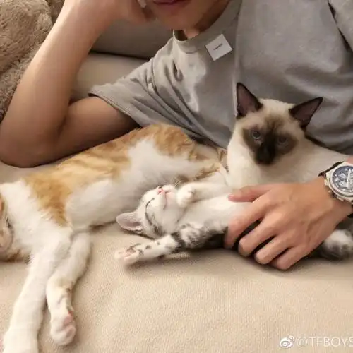 展开全文c小窗口11月14日 10:46来自易烊千玺超话评