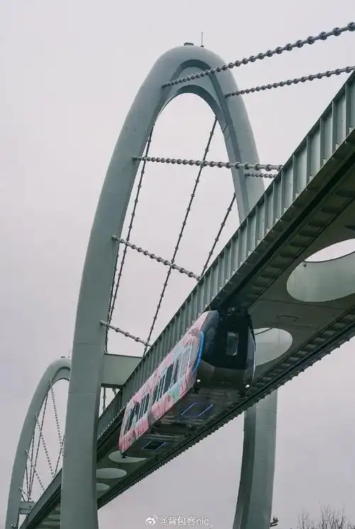 春暖花开看武汉