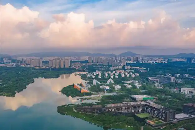 东莞的独生子女父母补贴超过深圳广州居广东省之首这是为何