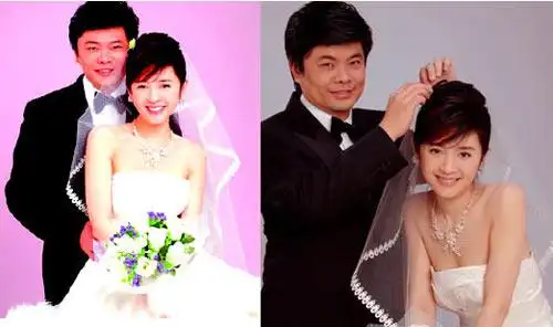 top2 1亿   许戈辉现任老公丁健vs前妻