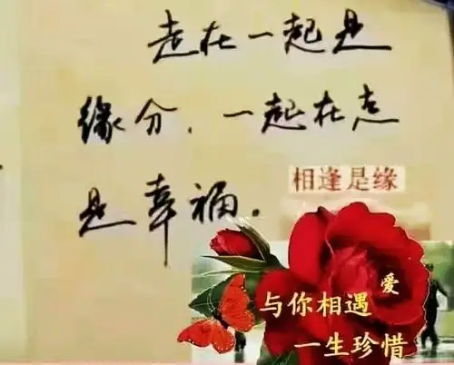 岁月如歌,同窗情在