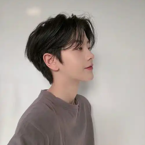 日韩假发男短直发帅气逼真短发中分刘海化纤假发头套厂家一件代发