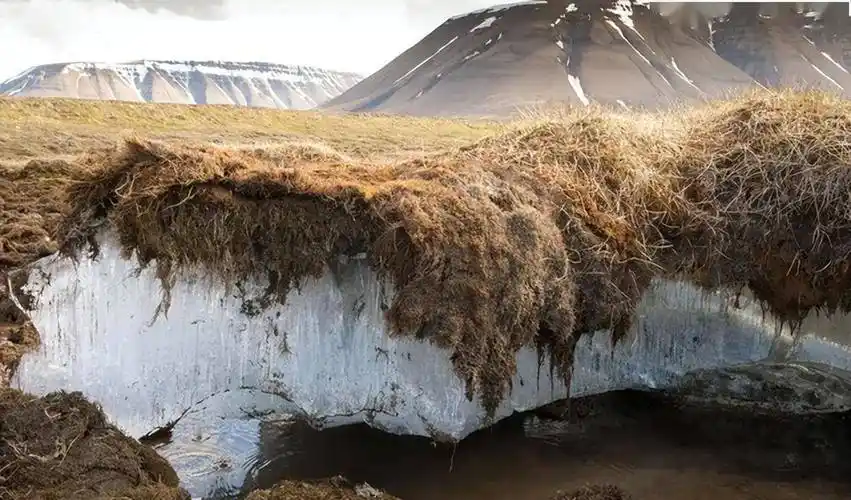 冻土融化浮现史前生物尸体,这对人类来说是好事吗?还真不一定