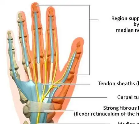 3分钟3个动作健身上班打游戏再也不会有手腕问题
