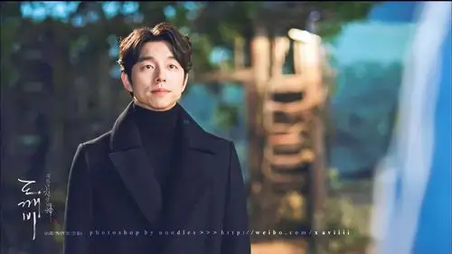 孤独又灿烂的神鬼怪浪漫剧照图片桌面壁纸