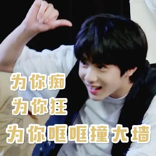 刘耀文表情包##刘耀文 少年终将成王