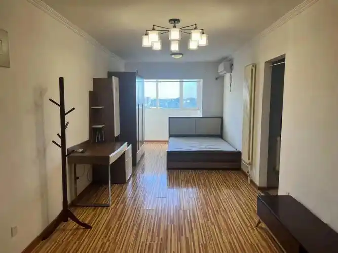 宋家庄地铁大开间一居室