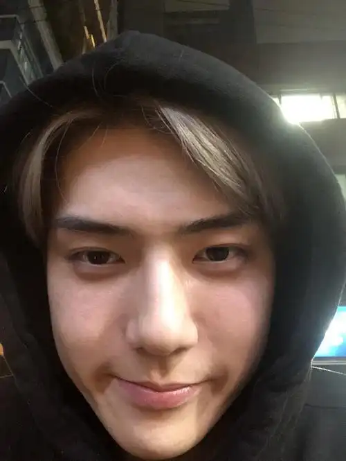 吴世勋特别会自拍,不相信的可以滚了! 删除 赞    回应 来自 豆瓣app