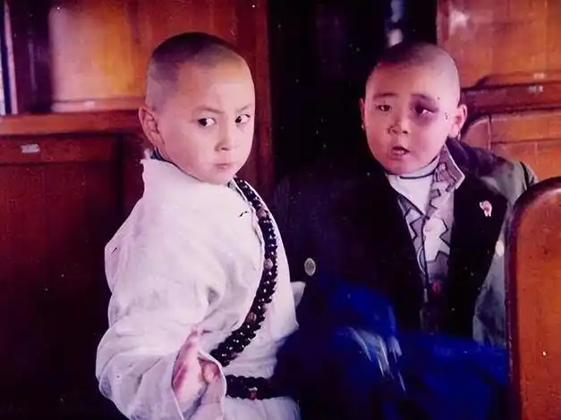 一提起"童星"二字,大家想到的都有谁?