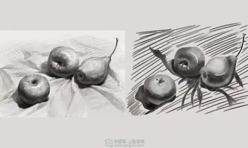作业:从零开始学美术之水果素描静物的画法训练 - rh-14-154 - 轻微课