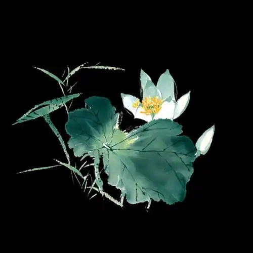 三色堇儿免抠/透明/溶图/png/底纹/边框/壁纸设计/素材/小说封面设计