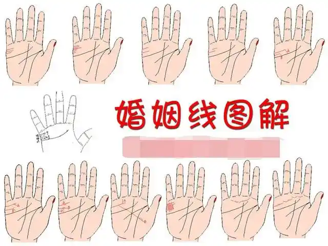 1,婚姻线向下弯曲 善于交际的女生类型,交友广阔,在事业上,能够给予