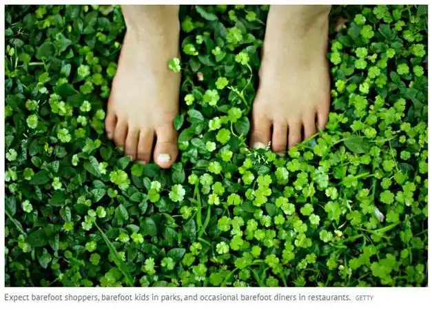 关于新西兰,我们永远无法搞懂这10件事!