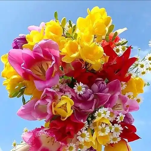 微信最吉利的好看头像风水好聚财转运的最吉利头像图片