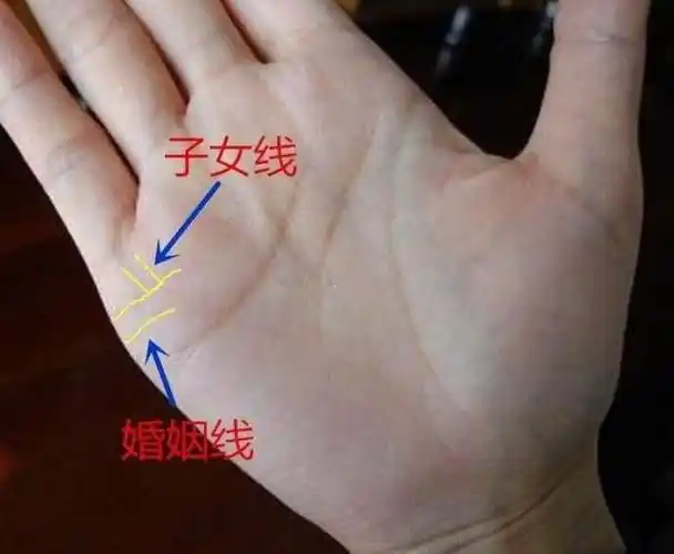 其实生男生女都的看子女缘分,那什么样的手相一定会生儿子呢_小指