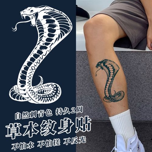 熊猫新派猛蛇纹身贴霸气手臂男防水持久黑暗系胸前不反光仿真刺青