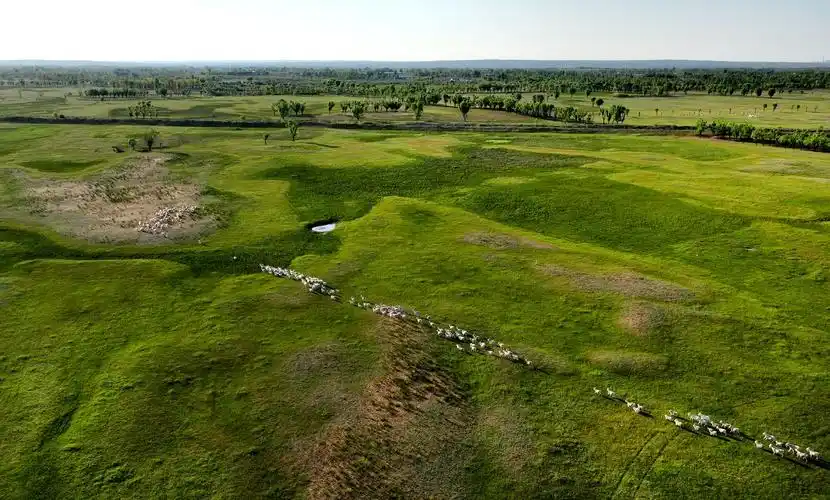 陕西神木:荒漠之地蜕变美丽草原|大草原|草原|陕西省_新浪新闻