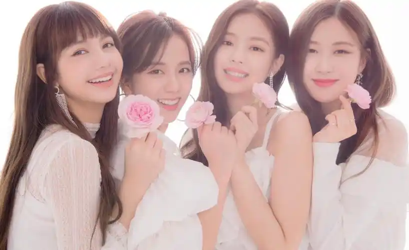 blackpink - 堆糖,美图壁纸兴趣社区