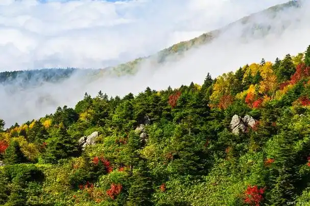 美丽中国之湖北·神农架(美景篇)