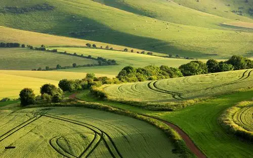 【【共享壁纸】 护眼系(y50-70适用)】-【小新笔记本】论坛-lenovopc