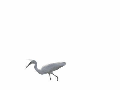 透明gif_百度图片搜索