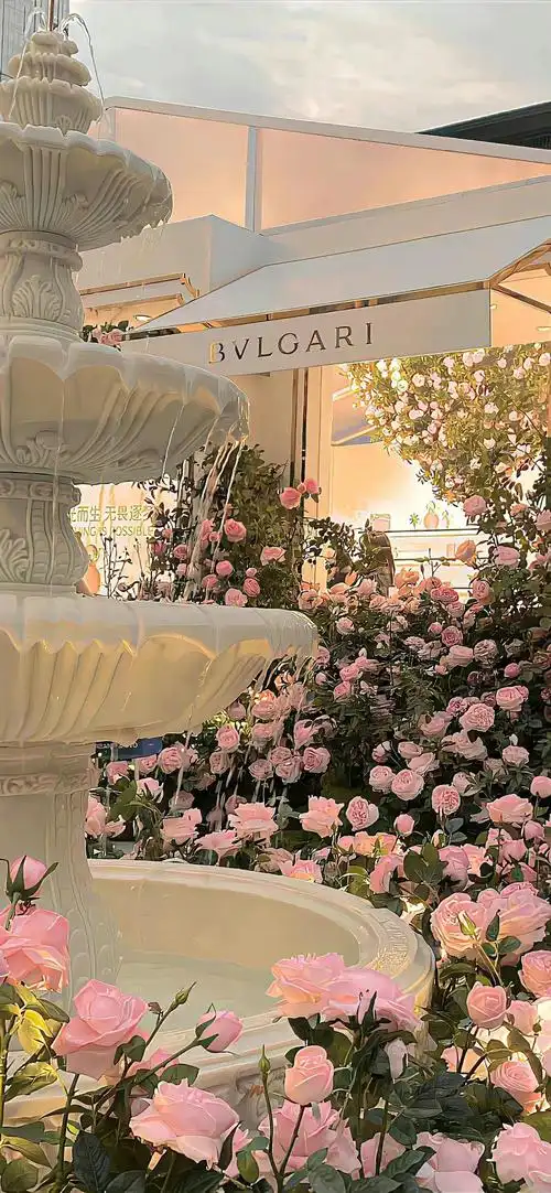 潮图壁纸|热门ins质感高级感小众夏日壁纸 - 知乎