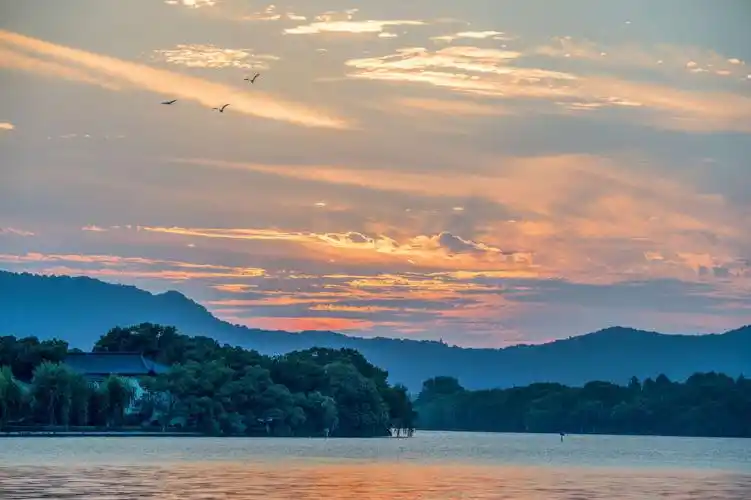 周宇:杭州西湖四季图汇集