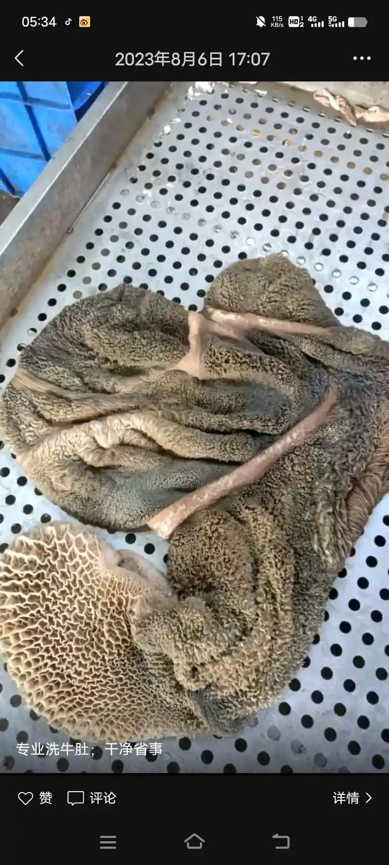 科普一下牛有4个胃,分别是1瘤胃(草肚) 2网胃(金钱肚)  - 抖音