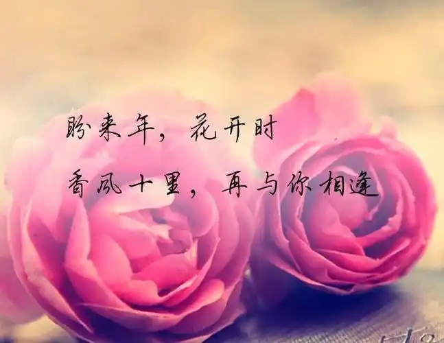 有一种思念叫不联系默默牵挂